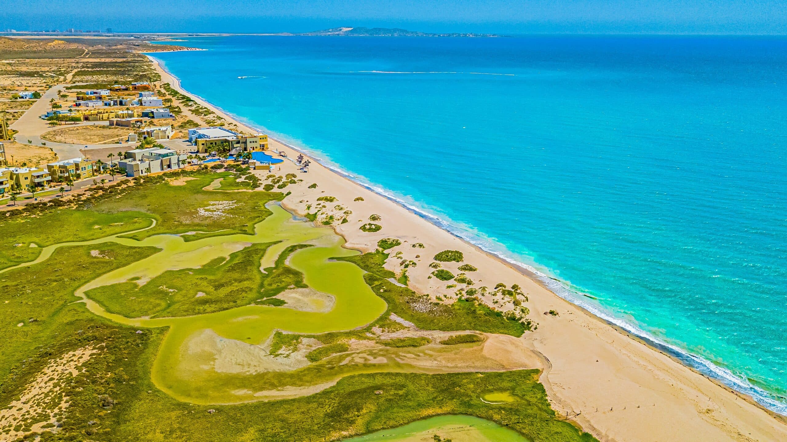 Sea-Horse-ing Around on the Beach at Laguna Shores Resort!
