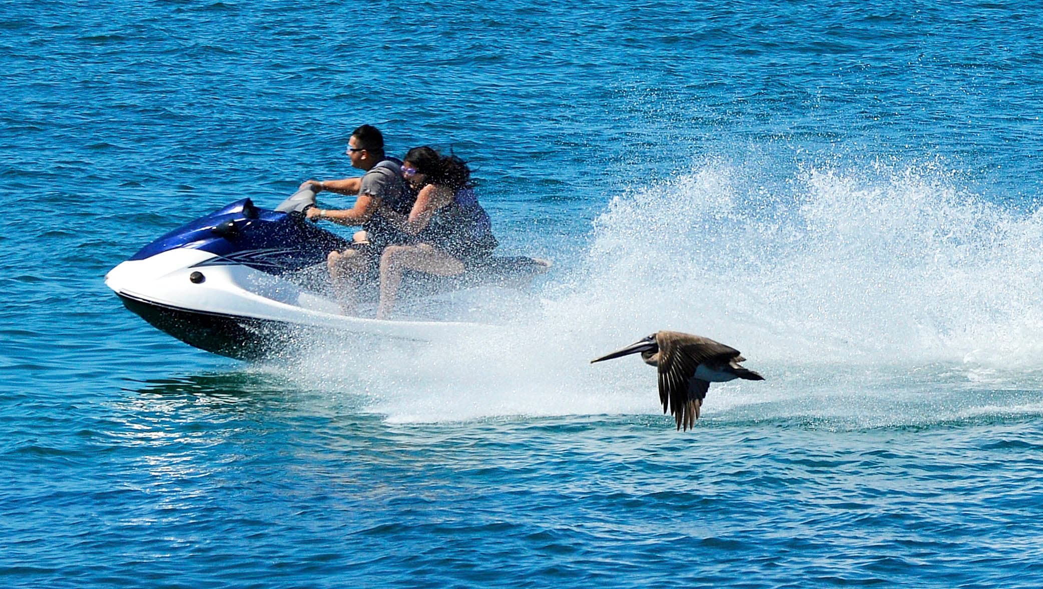 Rocky Point, Mexico Spring Breakers need to bring more than swimsuits and sunblock